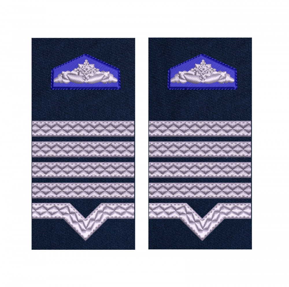 GRADE MAISTRU MILITAR CLASA 1 SRI